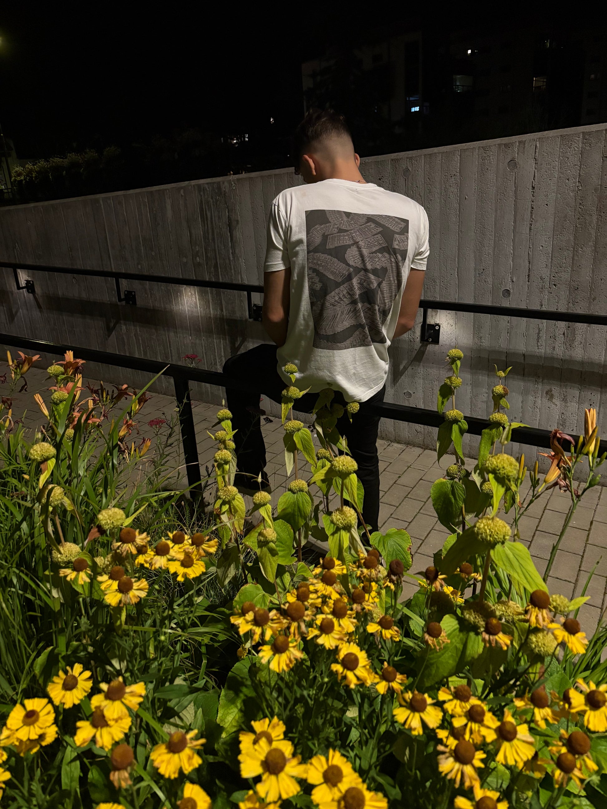 Lehav Money Spread T Shirt